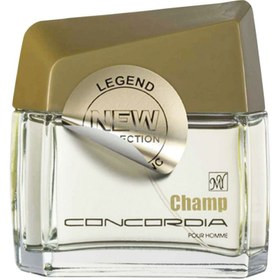 Concordia Champ Mont blanc